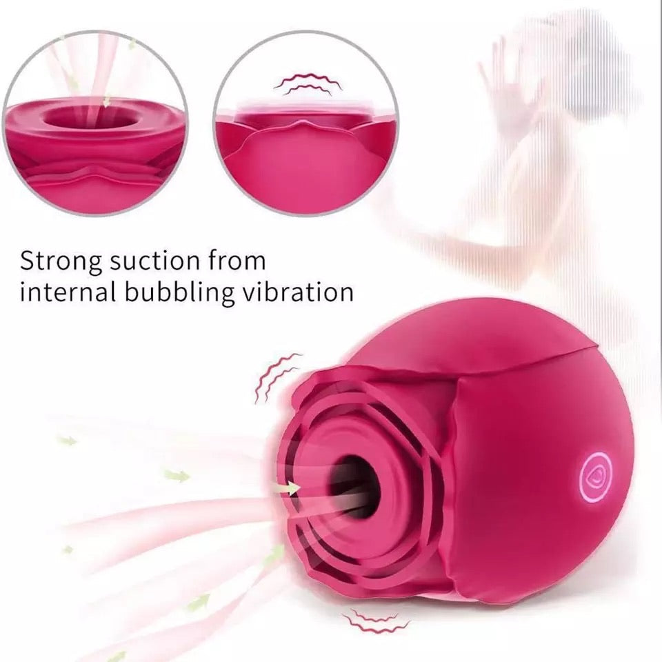 Pleasure ROSE/ ROSA PLACENTERA