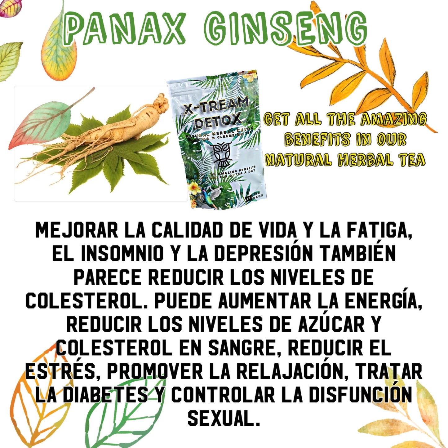 Herbal Detox Teas Cleansing Plan/ Tes para Desintoxicación de hierbas