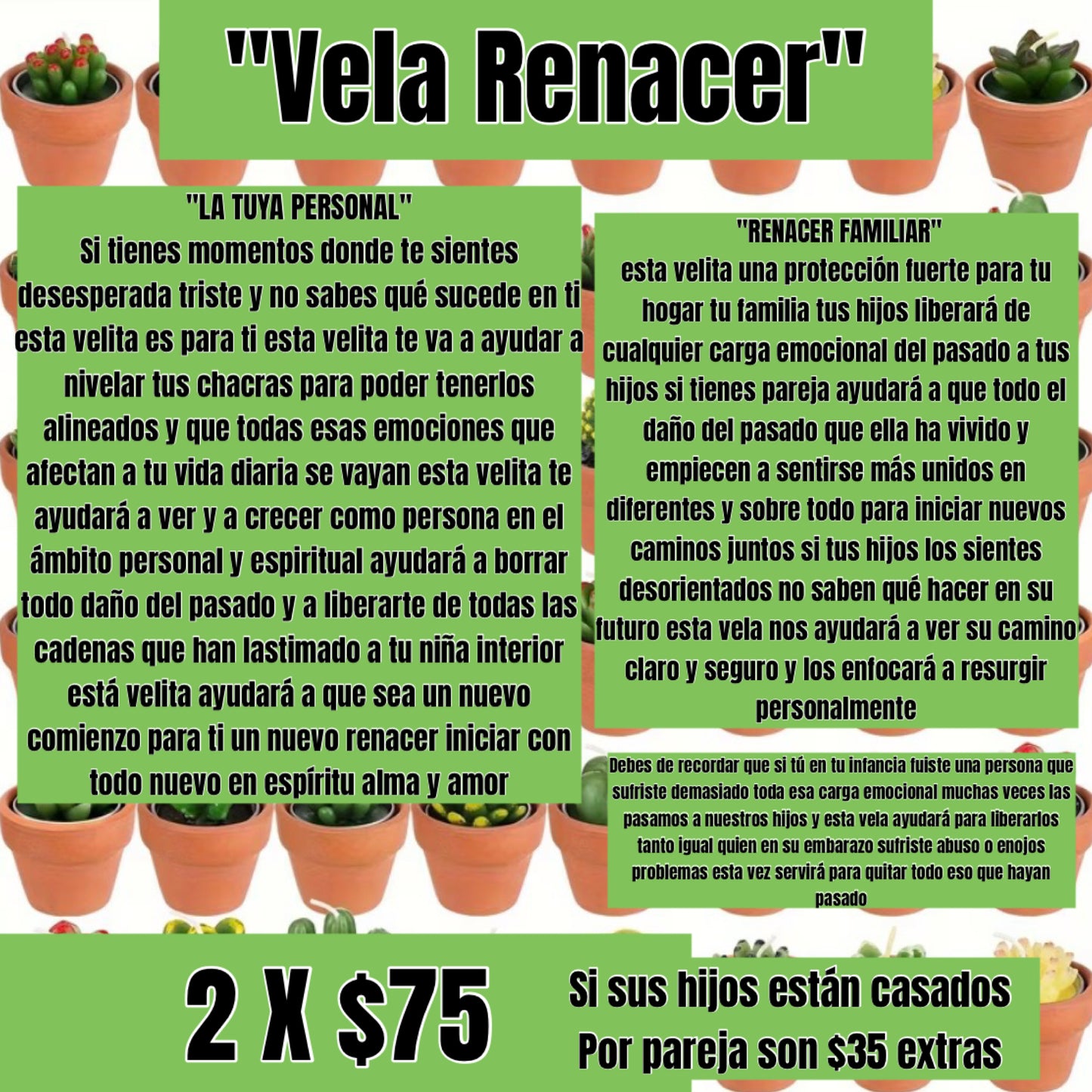Vela Renacer