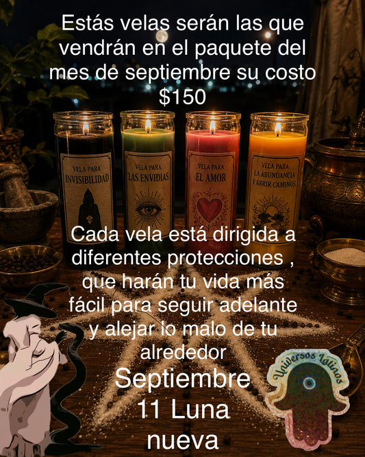 6 meses de protección para ti